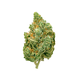 Black Haze CBD — vue alternative