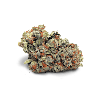 Godzilla Kush CBD - Fleurs Greenhouse