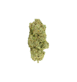 Champion Kush CBD+ 🏆 — vue alternative