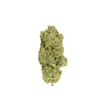 Champion Kush CBD+ 🏆